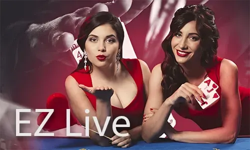 Winzir Sports Betting